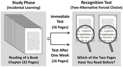 Long-Lasting Verbatim Memory for the Words of Books After a Single Reading Without Any Learning Intention